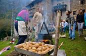 22 Patate novelle 